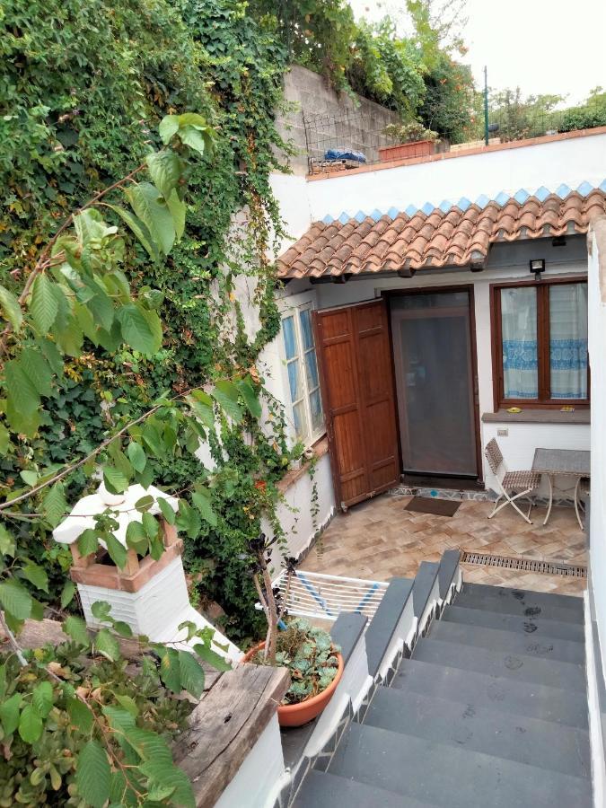 Casa Rustica Apartamento Dorgali Exterior foto